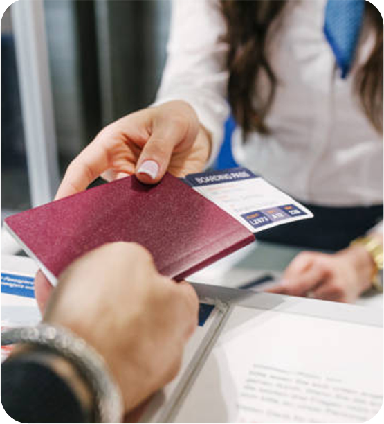 Waivers/Appeals (inadmissibility, overstay,
